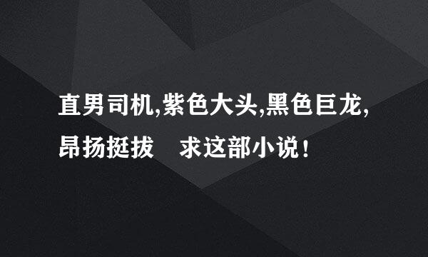 直男司机,紫色大头,黑色巨龙,昂扬挺拔 求这部小说！