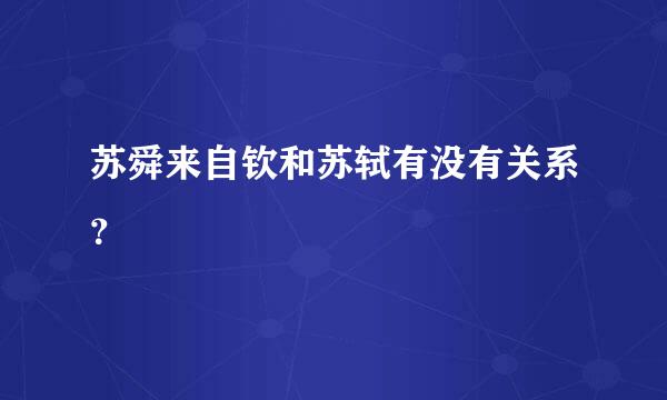 苏舜来自钦和苏轼有没有关系？