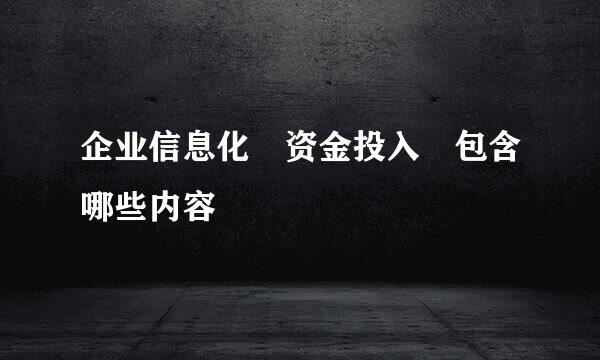 企业信息化 资金投入 包含哪些内容