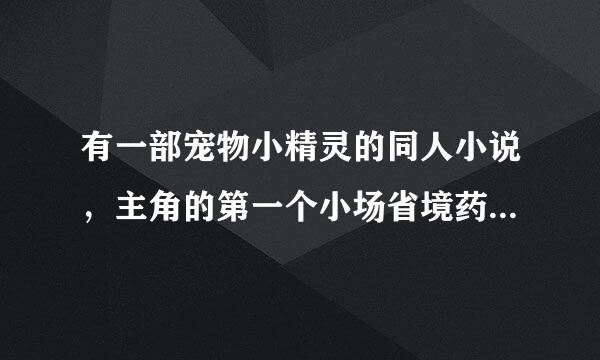 有一部宠物小精灵的同人小说，主角的第一个小场省境药微久度步绝精灵是利欧路的，并且能