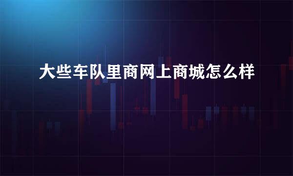 大些车队里商网上商城怎么样