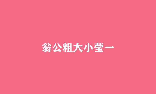 翁公粗大小莹一