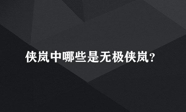 侠岚中哪些是无极侠岚？
