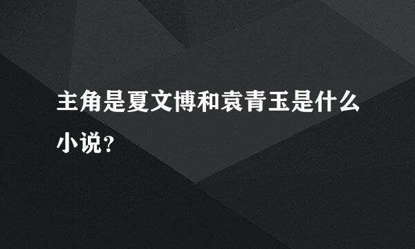 主角是夏文博和袁青玉是什么小说？