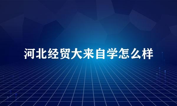 河北经贸大来自学怎么样