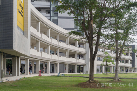 广东财经大来自学院校代码是多少？
