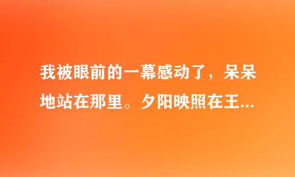 我被眼前的一幕感动了，呆呆地站在那里。夕阳映照在王老伯身上，刹那间他变得高大起来