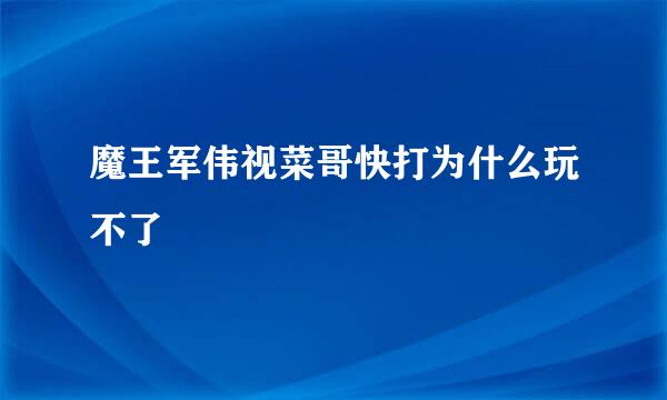 魔王军伟视菜哥快打为什么玩不了