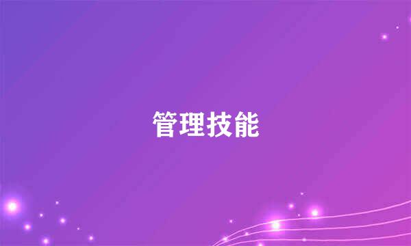 管理技能
