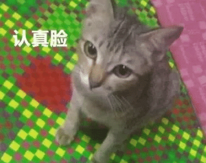 什么时候用both，什么时候用both of？状攻连雷松州牛石