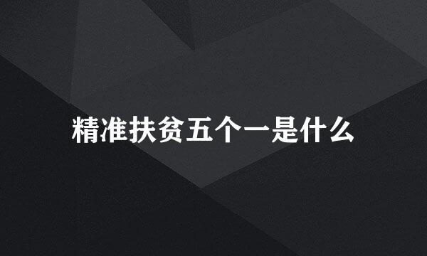 精准扶贫五个一是什么