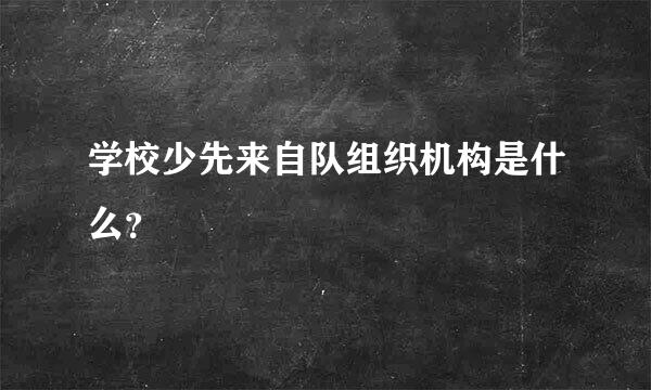 学校少先来自队组织机构是什么？