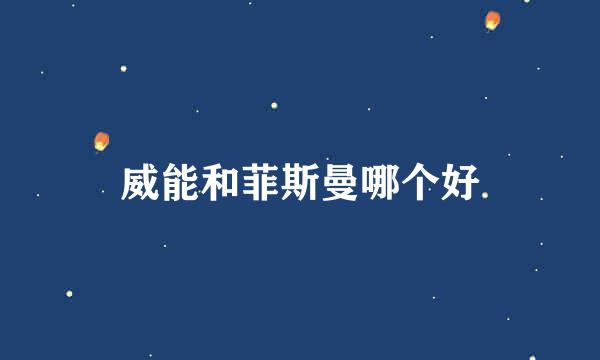 威能和菲斯曼哪个好
