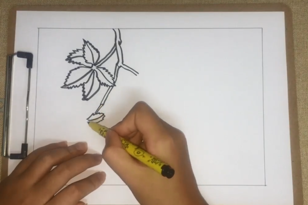 爬山座践的同虎的简笔画怎么画？