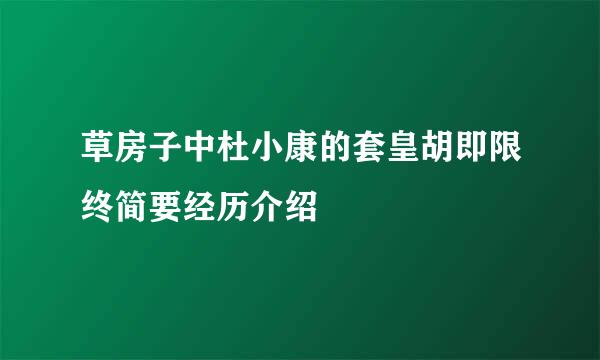 草房子中杜小康的套皇胡即限终简要经历介绍