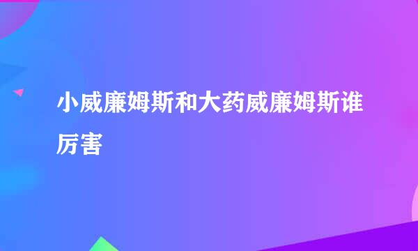 小威廉姆斯和大药威廉姆斯谁厉害