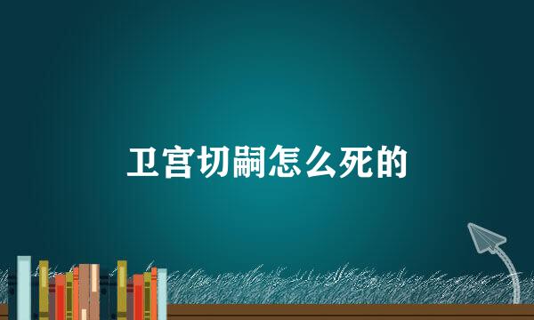 卫宫切嗣怎么死的