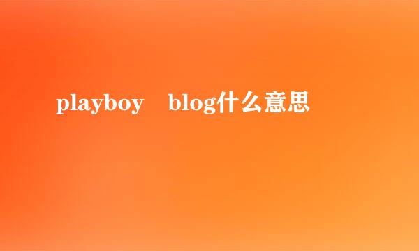 playboy blog什么意思