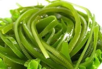 海白菜和海带的区别