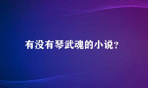 有没有琴武魂的小说？