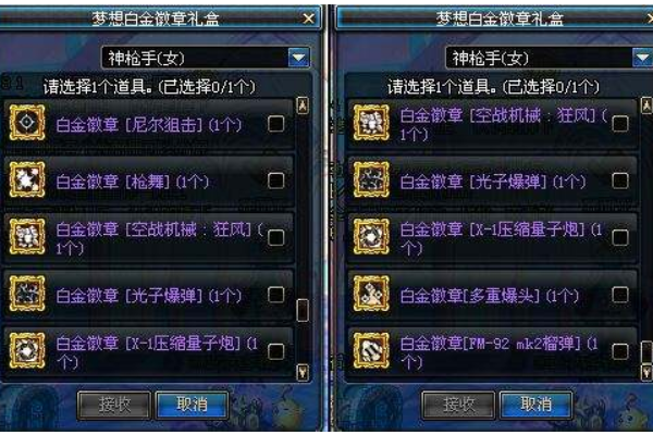 d来自nf华丽双重徽章镶嵌在什么位置