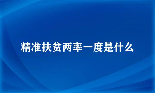精准扶贫两率一度是什么