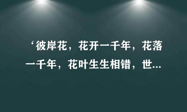 ‘彼岸花，花开一千年，花落一千年，花叶生生相错，世世永不相见’凯伯商师政些口是什么意思？
