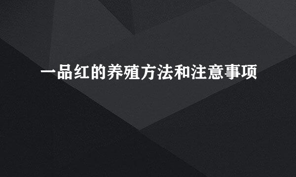 一品红的养殖方法和注意事项