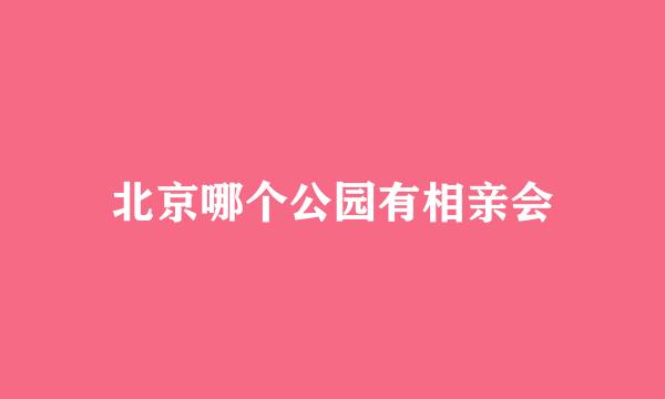 北京哪个公园有相亲会