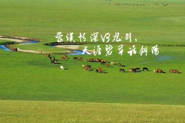 蒙汉情深何忍别天涯碧草话斜阳的意思