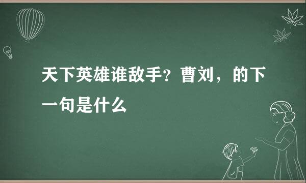 天下英雄谁敌手？曹刘，的下一句是什么