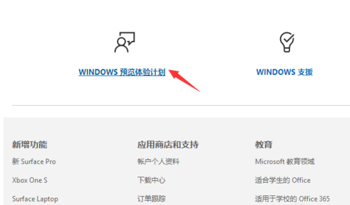 insider preview团这言组零是什么意思