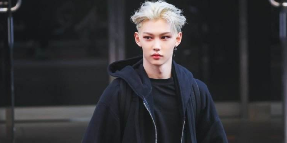 strayki来自ds成员介绍？