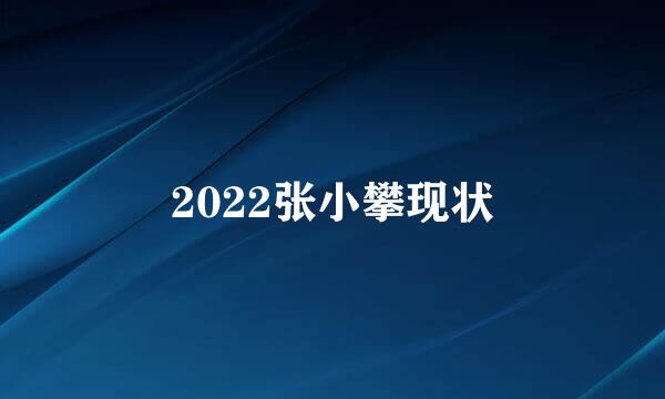 2022张小攀现状