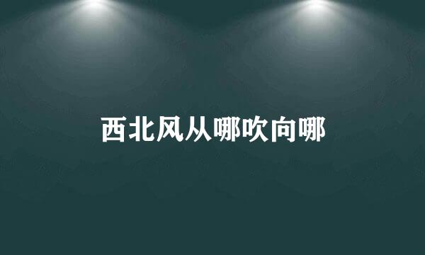 西北风从哪吹向哪