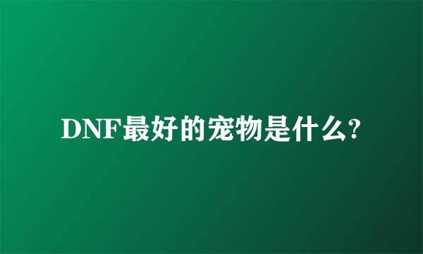 DNF最好的宠物是什么?