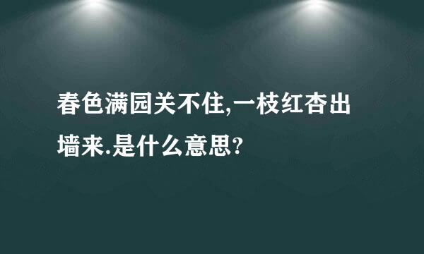 春色满园关不住,一枝红杏出墙来.是什么意思?