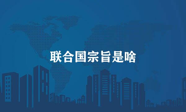 联合国宗旨是啥