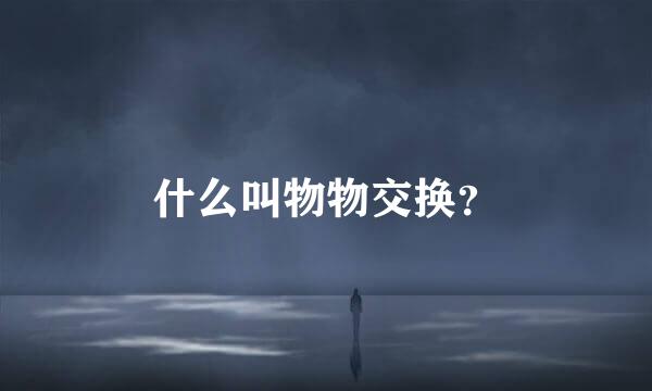 什么叫物物交换？