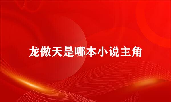 龙傲天是哪本小说主角
