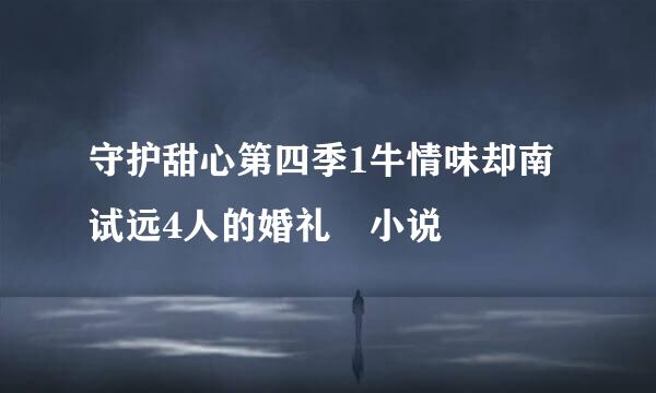 守护甜心第四季1牛情味却南试远4人的婚礼 小说