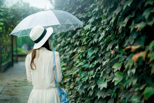 风雨人生是什么意思