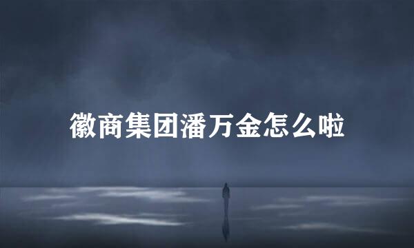 徽商集团潘万金怎么啦