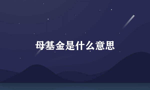 母基金是什么意思