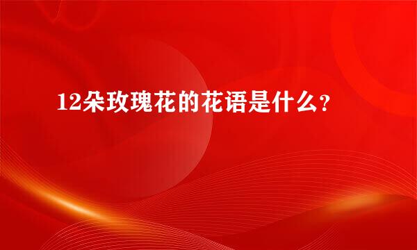 12朵玫瑰花的花语是什么？