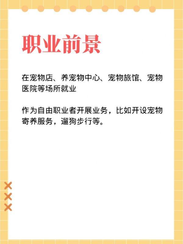 宠物托管师