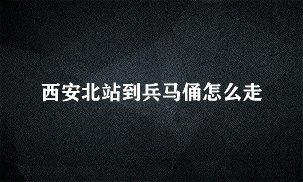 西安北站到兵马俑怎么走