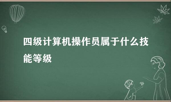 四级计算机操作员属于什么技能等级