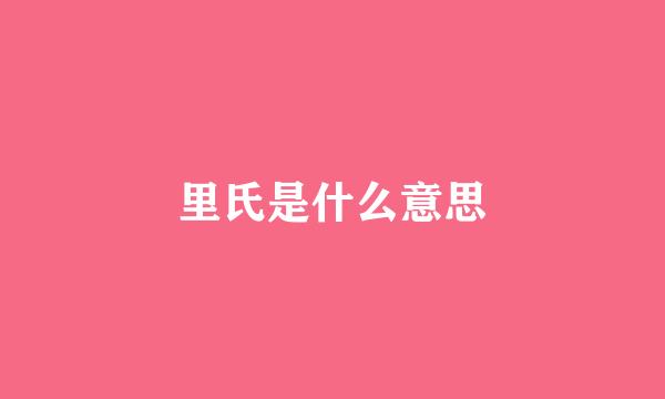 里氏是什么意思