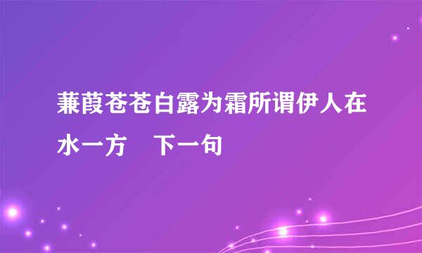 蒹葭苍苍白露为霜所谓伊人在水一方 下一句